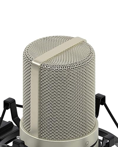 Amazon.com: MXL 770 Condenser Microphone for Podcasting, Singing